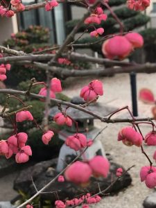 雪の降る、仕事はじめとなりました。